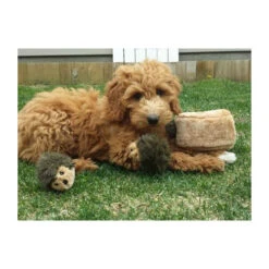 ZippyPaws Zippy Burrow Hedgehog Den -Hondenbenodigdheden zippypaws zippy burrow hedgehog den 221069 0500 none